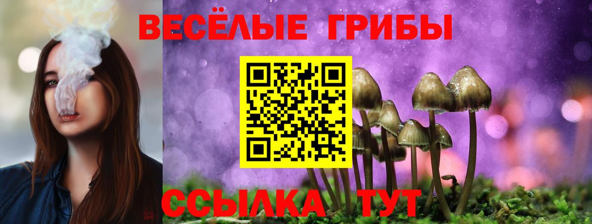 Галлюциногенные грибы MAGIC MUSHROOMS Надым